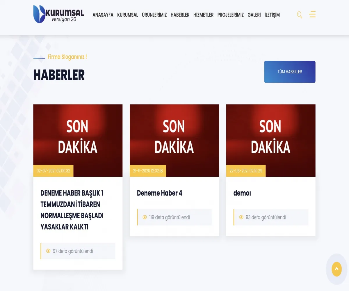 Kurumsal Yazılım V24
