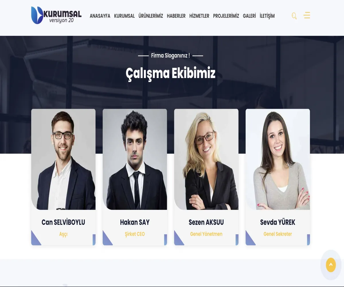 Kurumsal Yazılım V24